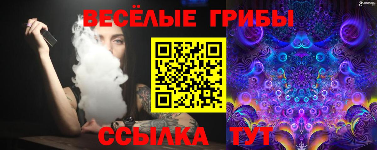 Псилоцибиновые грибы Cubensis Саратов