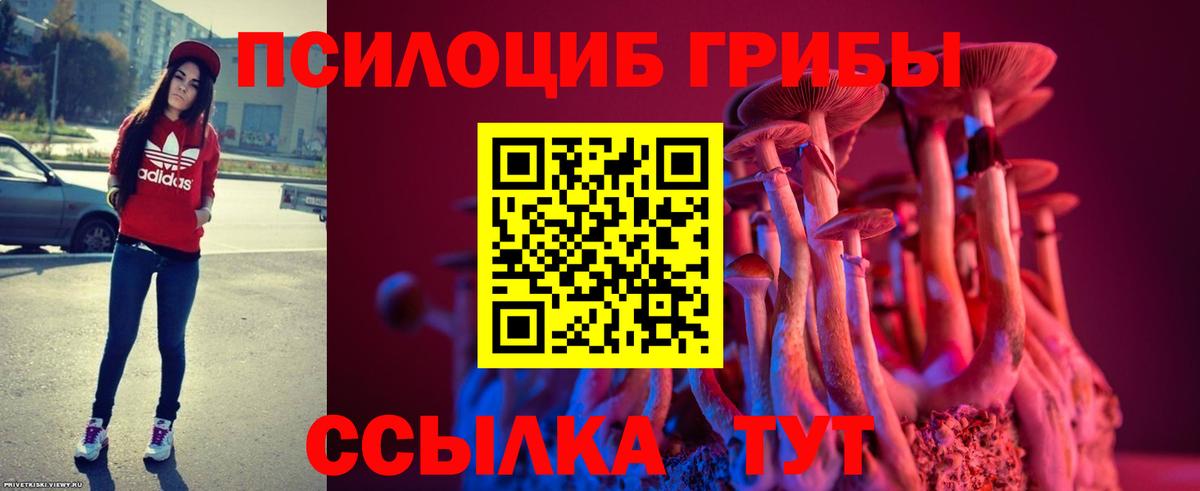 Галлюциногенные грибы GOLDEN TEACHER  Вход с VPN  Саратов  Галлюциногенные грибы Cubensis 