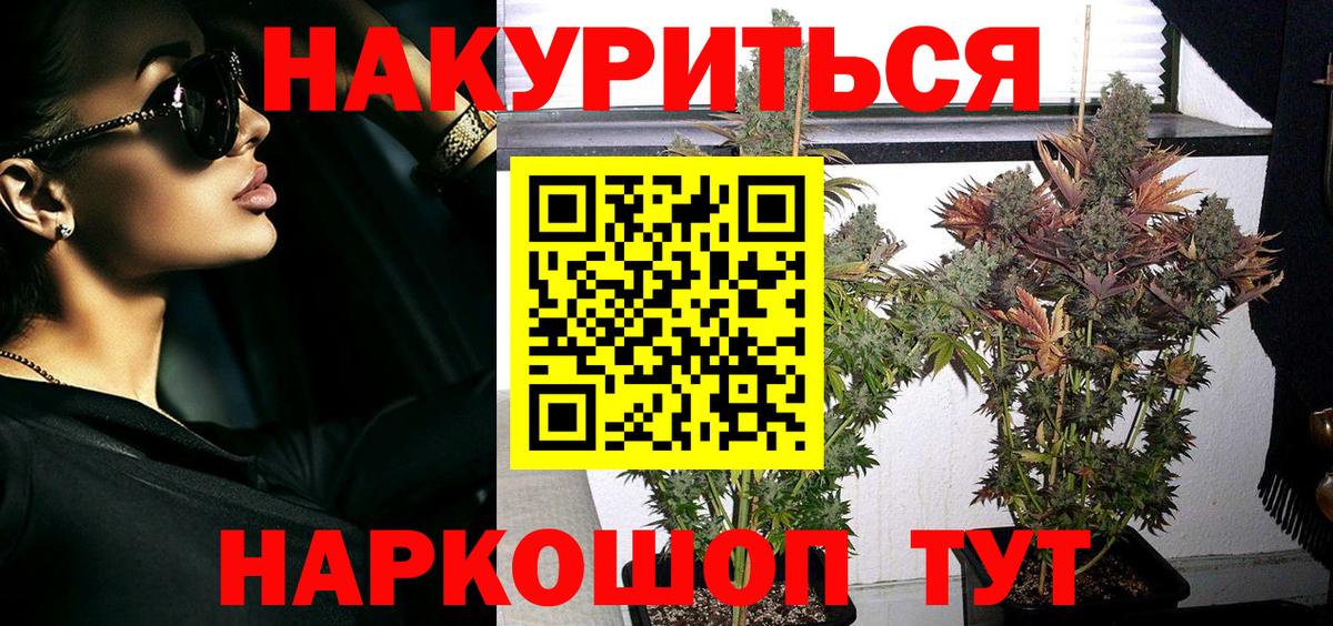 Бошки марихуана ГИДРОПОН  Конопля гибрид  Саратов  Вход с VPN  Канабис Amnesia 